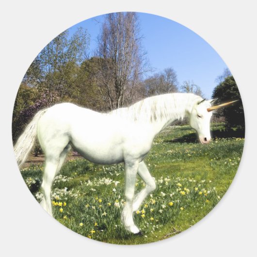 Unicorns Runder Aufkleber (Vorderseite)