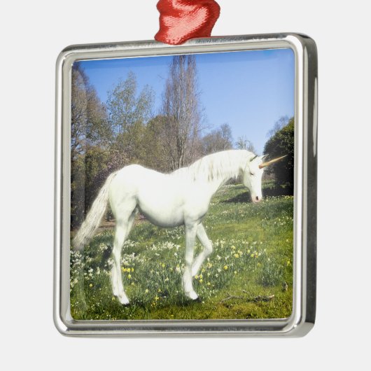 Unicorns Silbernes Ornament (Links)