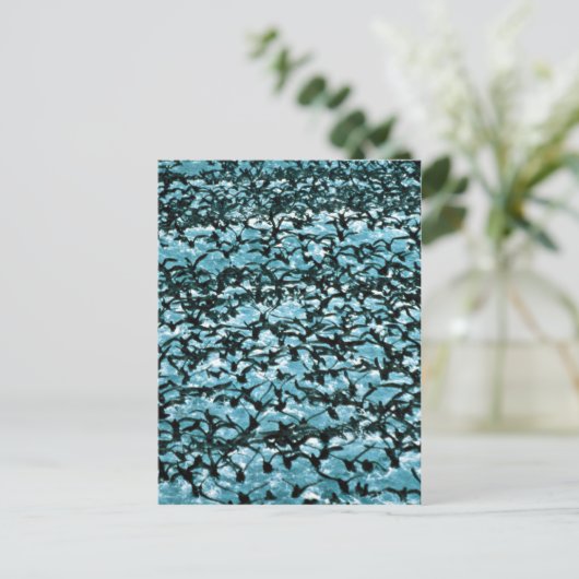 Unimak Pass Herde Postkarte (Stehend Vorderseite)