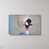 Unique Bird Portrait Leinwanddruck (Vorderseite)