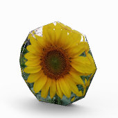 Unique Custom Photo Block in Octagon Shape (Rechts)