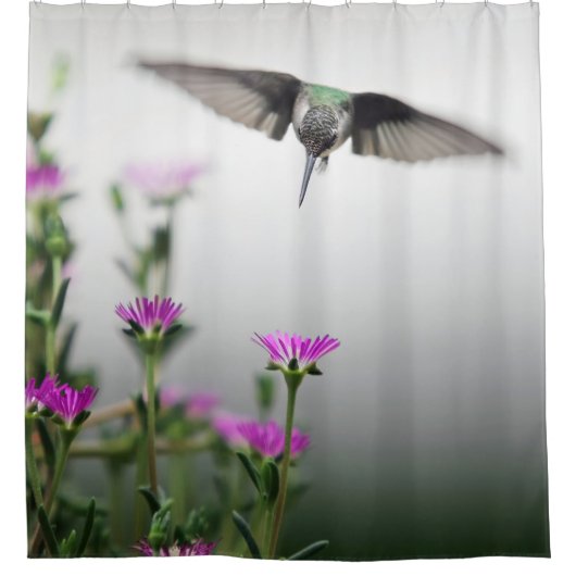 Unique Hummingbird Duschvorhang (Vorderseite)