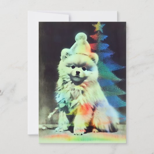 Unique Pomeranian Christmas Cards Feiertagskarte (Vorderseite)
