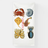 Unique Sea Beings Assortiment Thunder_Cove Banner (Vertikal)