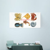 Unique Sea Beings Assortiment Thunder_Cove Banner (Messeveranstaltung)