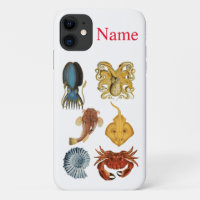 Unique Sea Beings Assortiment Thunder_Cove