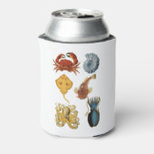 Unique Sea Beings Assortiment Thunder_Cove Dosenkühler (Kanne Rückseite)