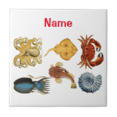 Unique Sea Beings Assortiment Thunder_Cove Fliese (Vorderseite)