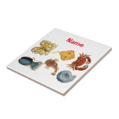 Unique Sea Beings Assortiment Thunder_Cove Fliese (Seite)