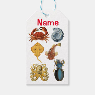 Unique Sea Beings Assortiment Thunder_Cove Geschenkanhänger