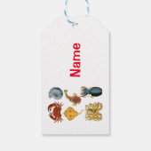Unique Sea Beings Assortiment Thunder_Cove Geschenkanhänger (Rückseite)