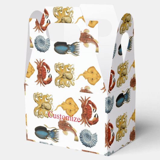 Unique Sea Beings Assortiment Thunder_Cove Geschenkschachtel (Geöffnet)