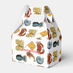 Unique Sea Beings Assortiment Thunder_Cove Geschenkschachtel