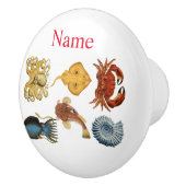 Unique Sea Beings Assortiment Thunder_Cove Keramikknauf (Rechts)