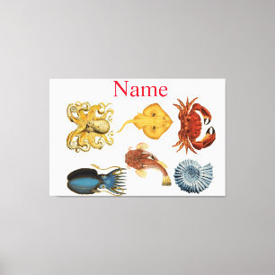 Unique Sea Beings Assortiment Thunder_Cove Leinwanddruck