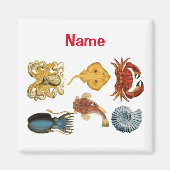 Unique Sea Beings Assortiment Thunder_Cove Magnet (Vorne)