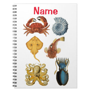 Unique Sea Beings Assortiment Thunder_Cove Notizblock