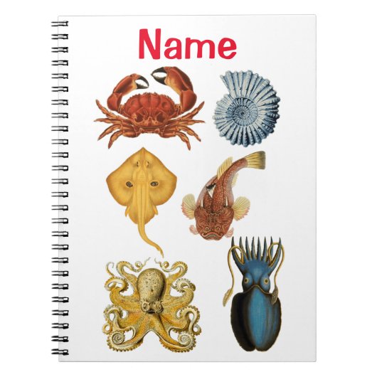 Unique Sea Beings Assortiment Thunder_Cove Notizblock (Vorderseite)