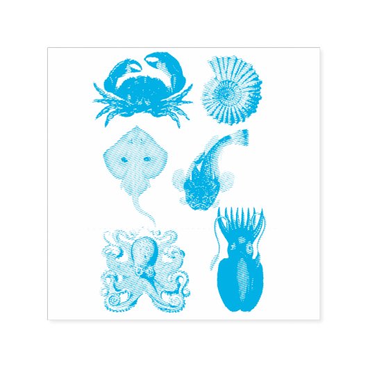 Unique Sea Beings Assortiment Thunder_Cove Permastempel (Design)