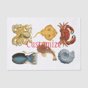 Unique Sea Beings Assortiment Thunder_Cove Seidenpapier