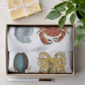 Unique Sea Beings Assortiment Thunder_Cove Seidenpapier (Geschenk)