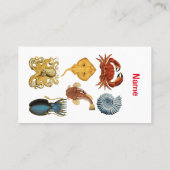 Unique Sea Beings Assortiment Thunder_Cove Visitenkarte (Rückseite)