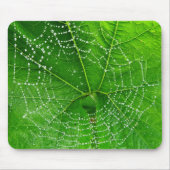 Unique Spiders Web Foto Designed Computer Mousepad (Vorne)