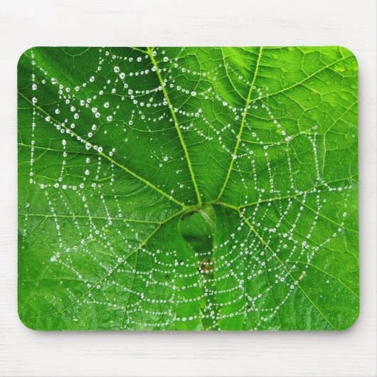 Unique Spiders Web Foto Designed Computer Mousepad (Vorne)