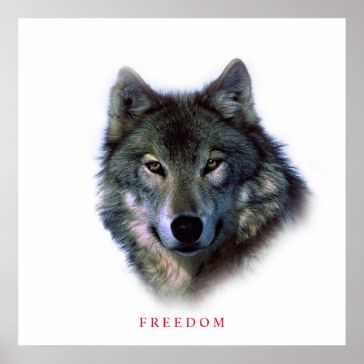 Unique Square Motivierend Freedom Wolf Poster (Vorne)