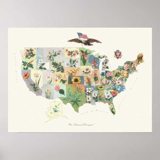 United Staaten Blumen Map - Our National Bouquet Poster (Vorne)