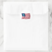 United Staaten Earth Flag Sticker (Tasche)