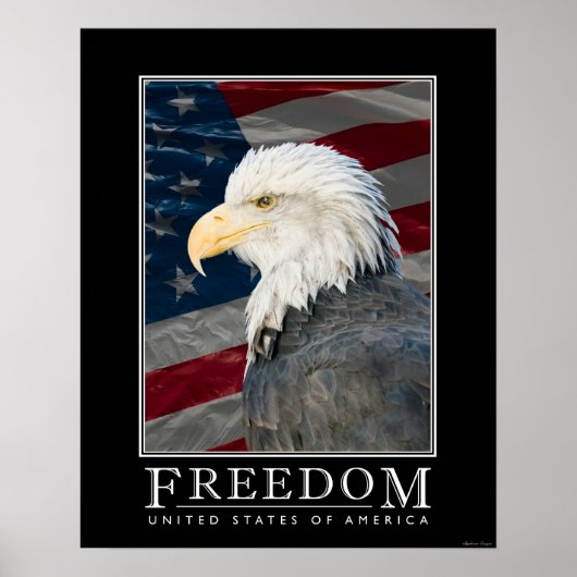 United Staaten Freedom Poster (Vorne)