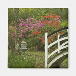 United Staaten; South Carolina; Charleston; 5 Magnet