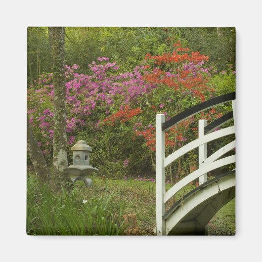 United Staaten; South Carolina; Charleston; 5 Magnet (Vorne)