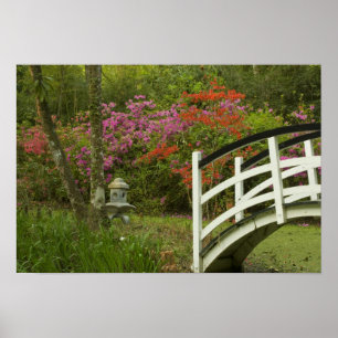 United Staaten; South Carolina; Charleston; 5 Poster