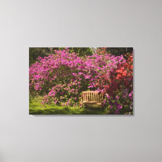 United Staaten; South Carolina; Charleston; Leinwanddruck (Vorderseite)