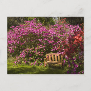 United Staaten; South Carolina; Charleston; Postkarte