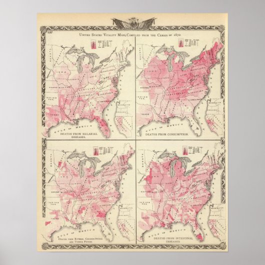 United States vitality maps Poster (Vorne)