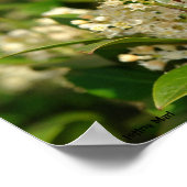 Universell Buzz Poster (Ecke)