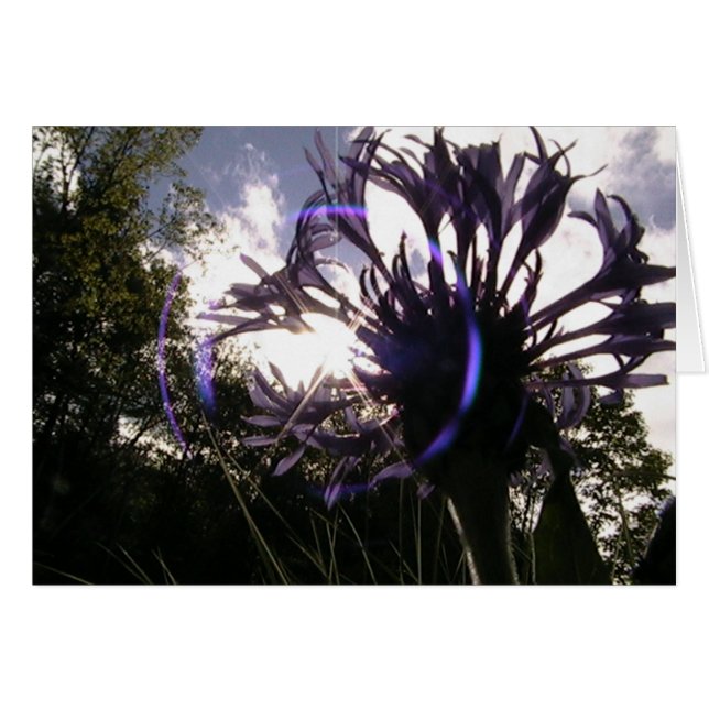 universelle Sonne (Vorderseite (Horizontal))