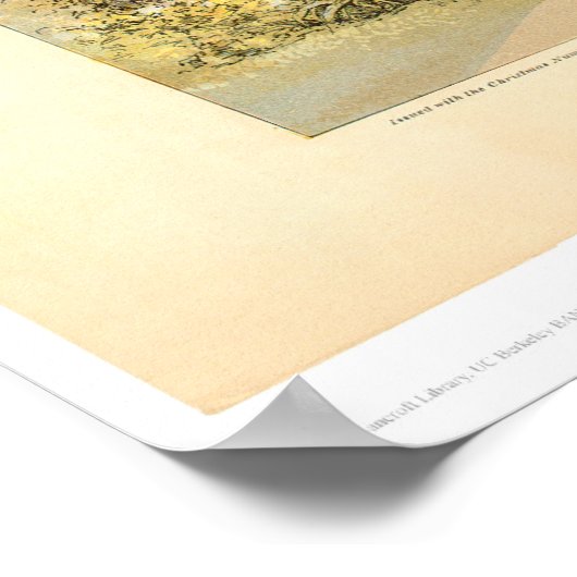 Universität (0828A) - Restauriert Poster (Ecke)