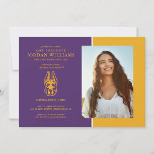 Universität Albany Great Dane Mascot Head Ankündigung