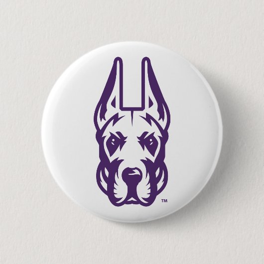 Universität Albany Great Dane Mascot Head Button (Vorderseite)