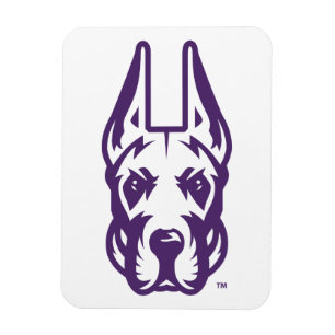 Universität Albany Great Dane Mascot Head Magnet