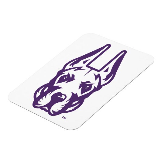 Universität Albany Great Dane Mascot Head Magnet (Linke Seite)