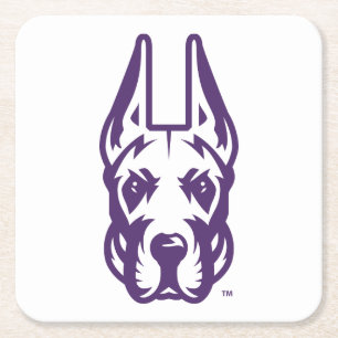 Universität Albany Great Dane Mascot Head Rechteckiger Pappuntersetzer