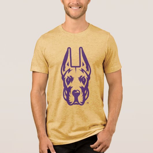 Universität Albany Great Dane Mascot Head Tri-Blend Shirt (Vorderseite)