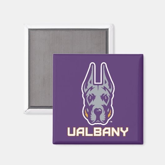 Universität Albany Great Danes Magnet (Vorderseite/Rückseite)