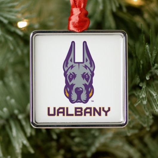 Universität Albany Great Danes Ornament Aus Metall (Baum)
