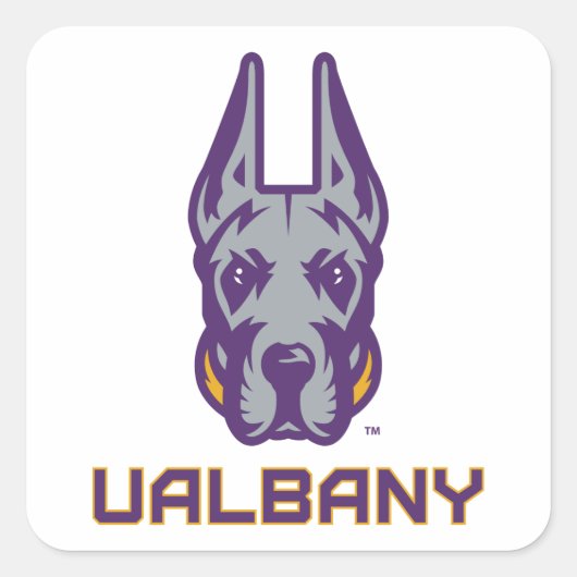 Universität Albany Great Danes Quadratischer Aufkleber (Vorderseite)